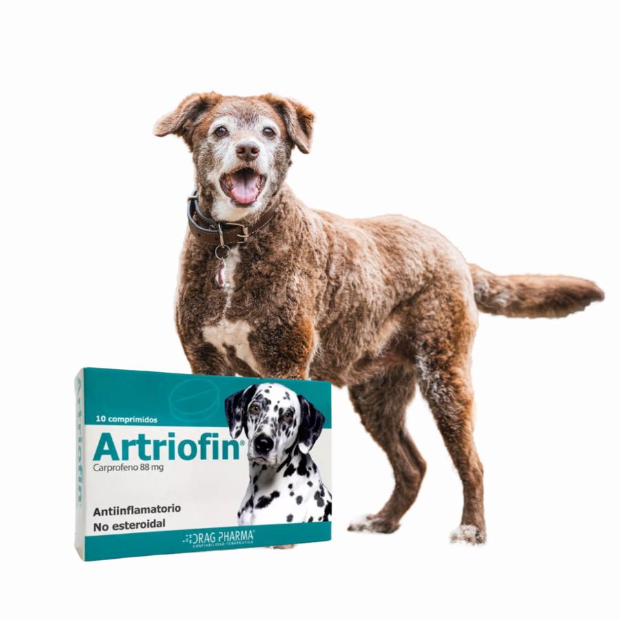 Artriofin 88mg 10 Comprimidos , antiinflamatorio oral para perros. Alivia el dolor articular y postoperatorio de forma eficaz y segura. B-Pets