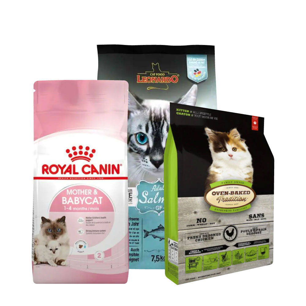 BPets_ColeccionesDestacadas_Productos_AlimentoSecoGato_4e49e781-d9ed-415f-9d3d-b1619f137c26.jpg