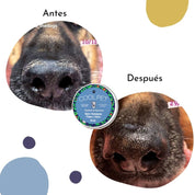 Balm de Karité CoolPet 10 ML, bálsamo hidratante natural para mascotas 🐾. Ideal para patas y nariz. Biodegradable y seguro para consumo animal.