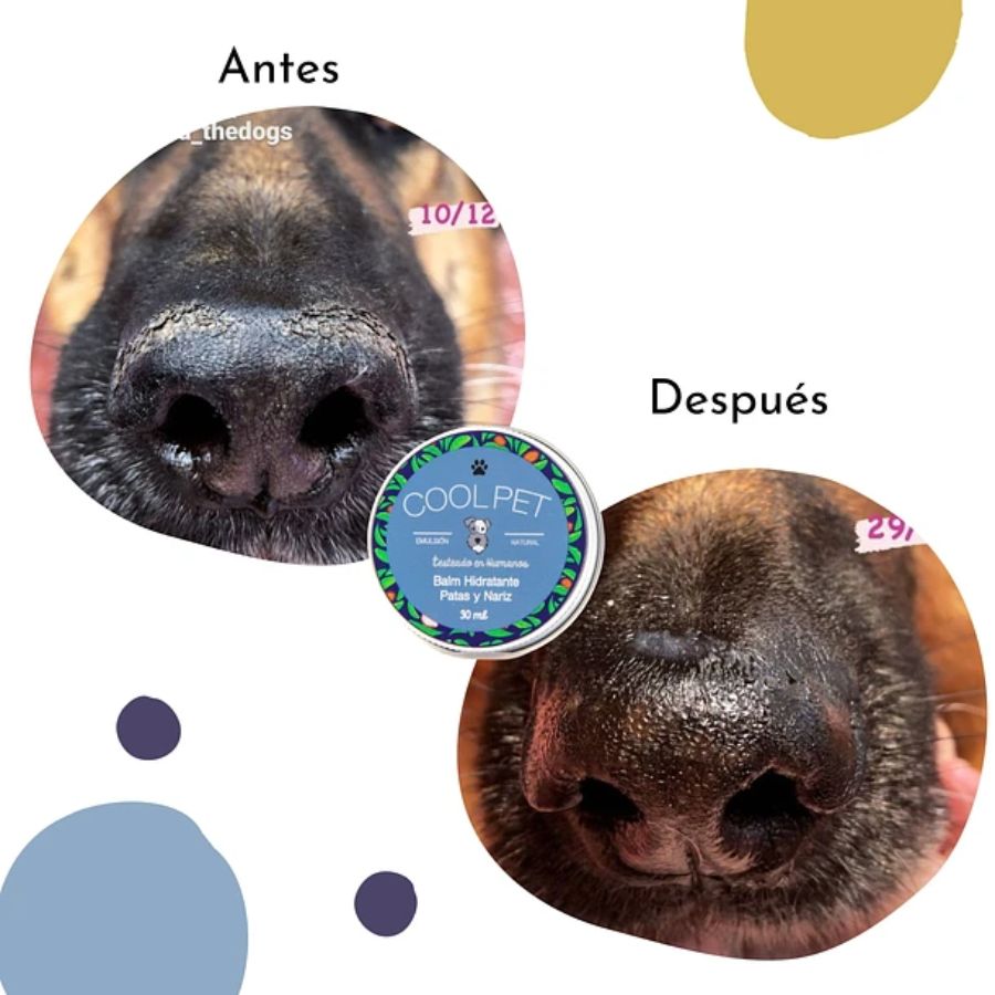 Balm de Karité CoolPet 10 ML, bálsamo hidratante natural para mascotas 🐾. Ideal para patas y nariz. Biodegradable y seguro para consumo animal.