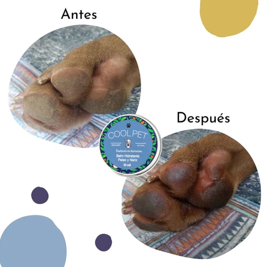 Balm de Karité CoolPet 10 ML, bálsamo hidratante natural para mascotas 🐾. Ideal para patas y nariz. Biodegradable y seguro para consumo animal.