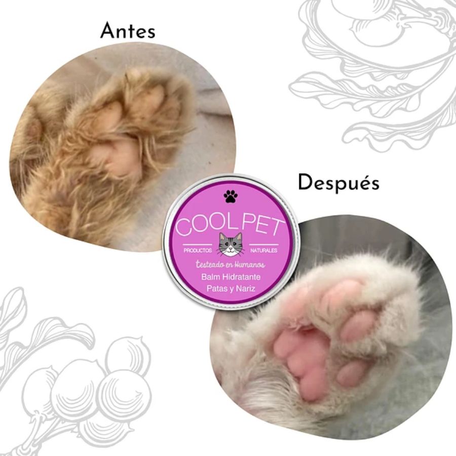 Balm de Karité para Gatos CoolPet 🐱, hidrata y regenera patas y nariz de forma natural. Apto para consumo animal, ideal para pieles sensibles.