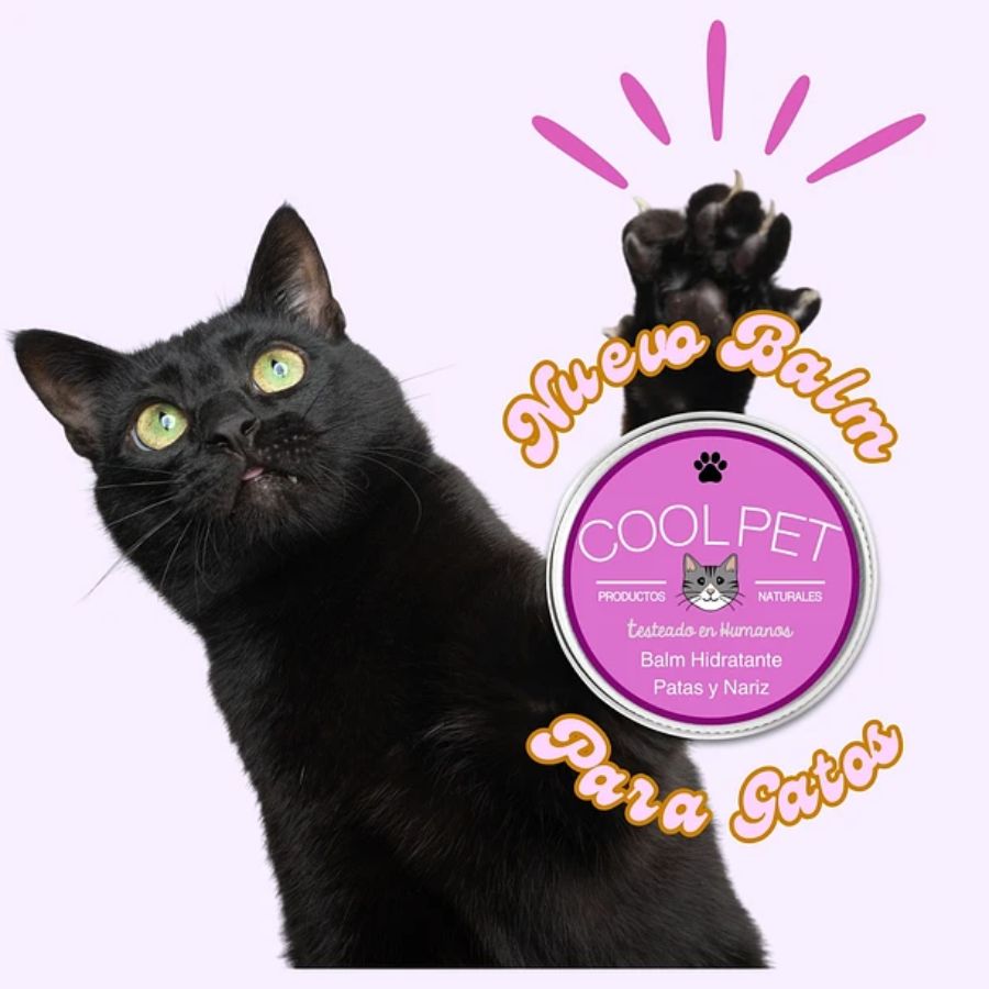 Balm de Karité para Gatos CoolPet 🐱, hidrata y regenera patas y nariz de forma natural. Apto para consumo animal, ideal para pieles sensibles.