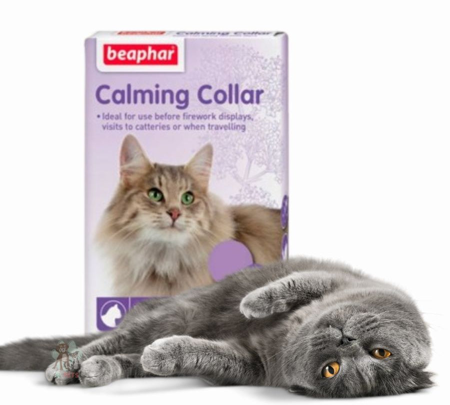 Beaphar Collar Calmante para Gatos con valeriana y lavanda, reduce estrés y ansiedad hasta por 5 semanas. Ideal para viajes y cambios de entorno.