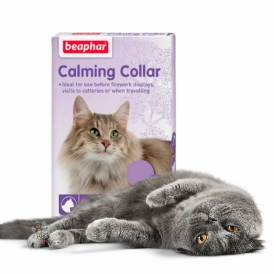Beaphar Collar Calmante para Gatos con valeriana y lavanda, reduce estrés y ansiedad hasta por 5 semanas. Ideal para viajes y cambios de entorno.