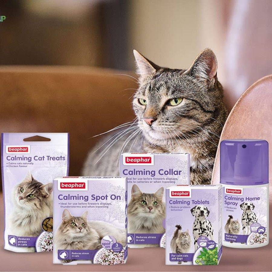Beaphar Calming Spot On Pipeta Calmante para Gatos 🐱 con valeriana, reduce estrés y ansiedad por una semana. Fácil aplicación y efecto en 1 hora.
