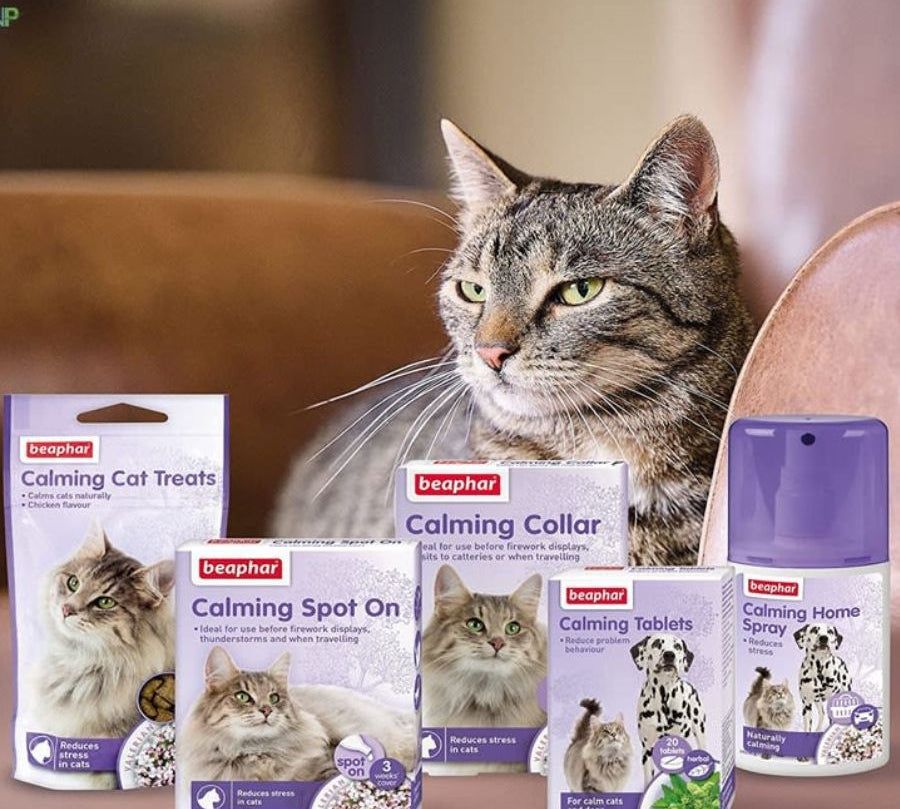 Beaphar Calming Spot On Pipeta Calmante para Gatos 🐱 con valeriana, reduce estrés y ansiedad por una semana. Fácil aplicación y efecto en 1 hora.