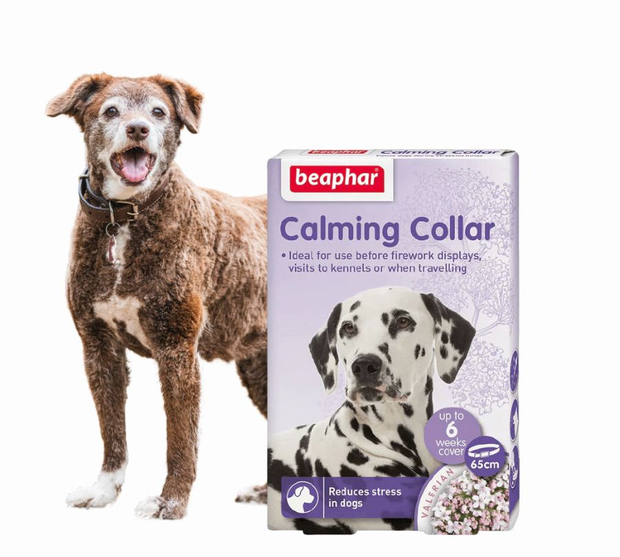 Beaphar Collar Calmante para Perros, con valeriana y lavanda, reduce el estrés y la ansiedad hasta por 6 semanas.