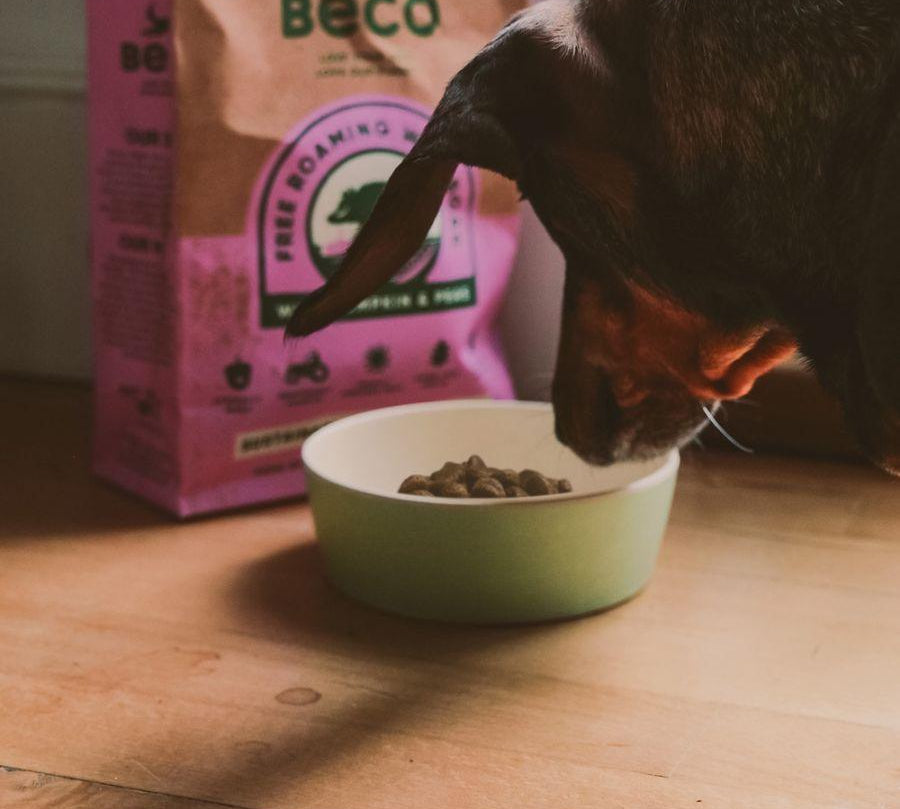 Beco Bowl Verde Azulado, bowl ecológico de bambú y cáscara de arroz. Libre de BPA, apto para lavavajillas, ideal para un hogar moderno y sostenible.