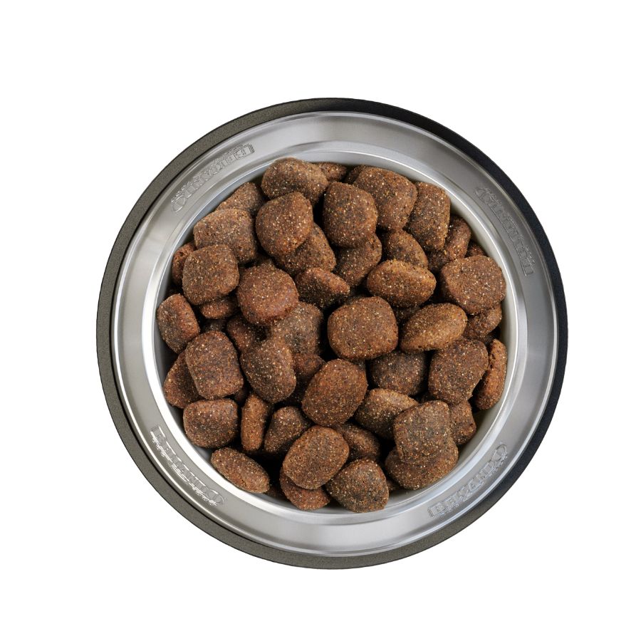 Descubre Belcando Adult Active 22.5kg, el alimento ideal para perros activos. Proporciona energía y resistencia con proteínas de calidad. Envíos a todo Chile 🇨🇱