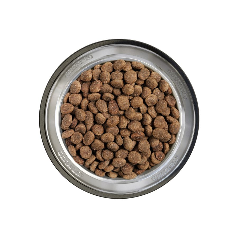 BELCANDO Finest Croc 4 kg, ideal para perros pequeños y medianos. 🍗 Promueve digestión óptima y salud articular, libre de cereales.