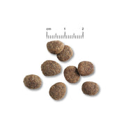 BELCANDO Finest Croc 4 kg, ideal para perros pequeños y medianos. 🍗 Promueve digestión óptima y salud articular, libre de cereales.