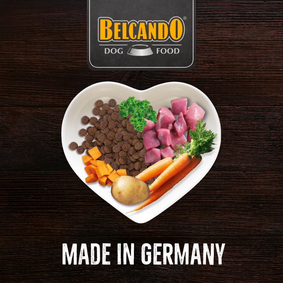 BELCANDO Finest Light 4kg 🐶🍃, el alimento perfecto para perros adultos de razas pequeñas y medianas con tendencia al sobrepeso o un estilo de vida sedentario, con delicioso pato y alto en fibra