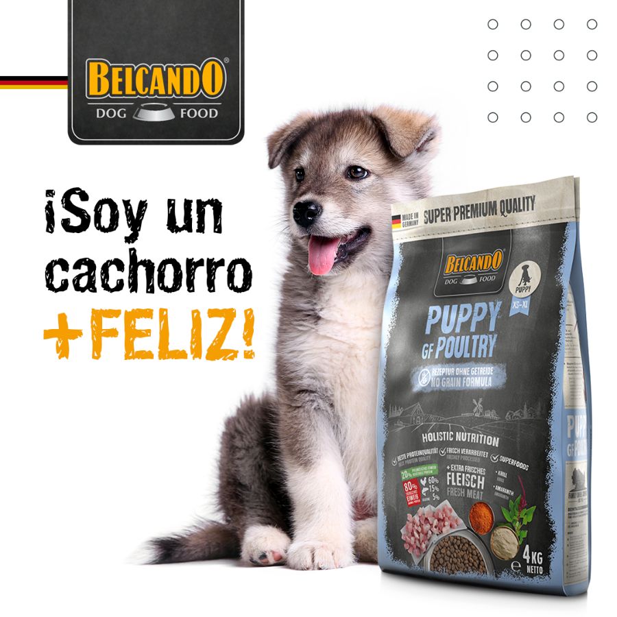 Elige BELCANDO Puppy Grain Free Poultry 4kg 🐕🌱, alimento sin cereales con 40% de ave fresca y amaranto, para un crecimiento saludable y un sistema inmune robusto.