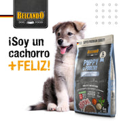 Elige BELCANDO Puppy Grain Free Poultry 4kg 🐕🌱, alimento sin cereales con 40% de ave fresca y amaranto, para un crecimiento saludable y un sistema inmune robusto.