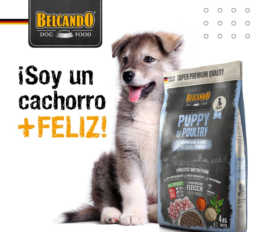 Elige BELCANDO Puppy Grain Free Poultry 4kg 🐕🌱, alimento sin cereales con 40% de ave fresca y amaranto, para un crecimiento saludable y un sistema inmune robusto.