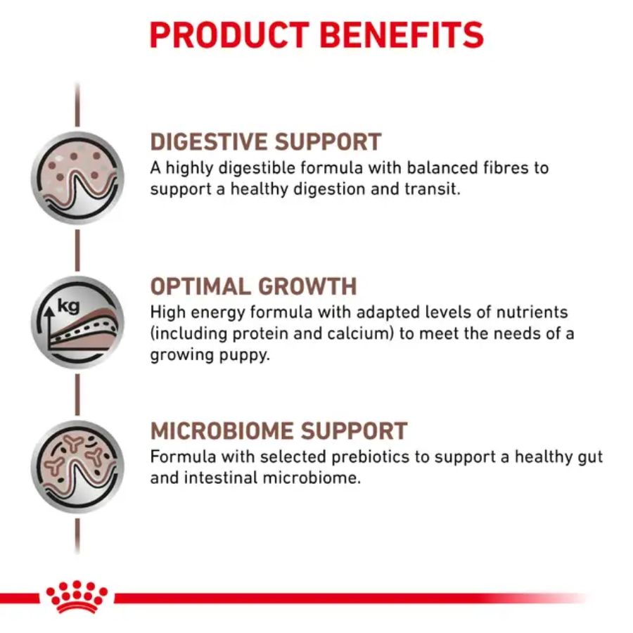 Royal Canin Lata Gastrointestinal Puppy 195g alimento húmedo digestible y energético para cachorros con sensibilidad gastrointestinal. Textura suave y alta palatabilidad.