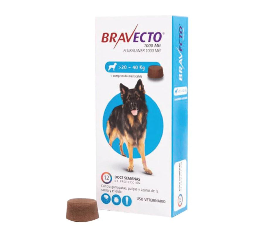Bravecto Perro 20-40kg (1000mg), antiparasitario masticable con protección de 12 semanas contra pulgas, garrapatas y sarna. Acción rápida y segura. 🐶✨