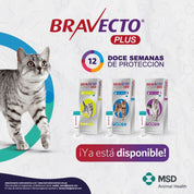Bravecto Plus Gato 2,8 a 6,25 kg controla pulgas, garrapatas y parásitos internos con una sola pipeta. Protección prolongada por 12 semanas. B-Pets