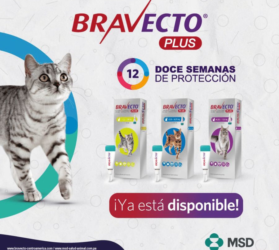 Bravecto Plus Gato 2,8 a 6,25 kg controla pulgas, garrapatas y parásitos internos con una sola pipeta. Protección prolongada por 12 semanas. B-Pets