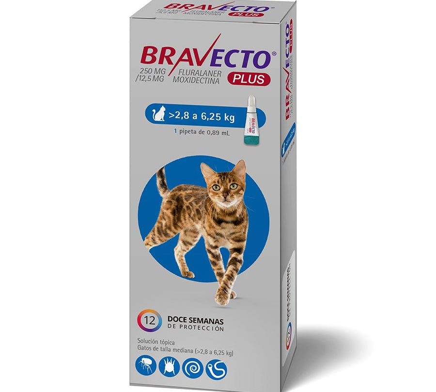 Bravecto Plus Gato 2,8 a 6,25 kg controla pulgas, garrapatas y parásitos internos con una sola pipeta. Protección prolongada por 12 semanas. B-Pets