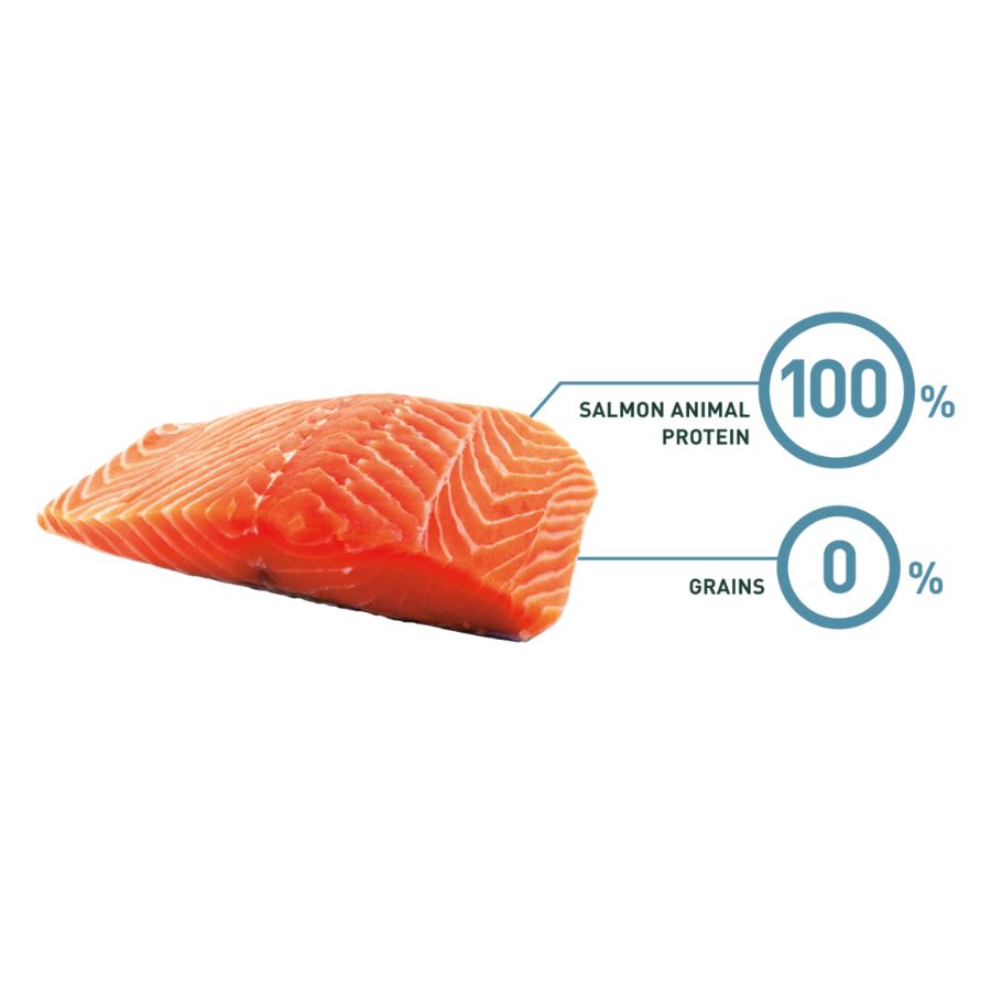 Bravery Salmon Mini Adulto - 2 Kg 🐶 alimento premium sin cereales, con salmón como única proteína y alto en Omega-3. Ideal para perros pequeños.