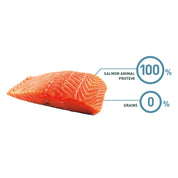 Bravery Salmon Mini Adulto - 7 Kg 🐶 alimento premium sin cereales, con salmón como única proteína y alto en Omega-3. Ideal para perros pequeños.