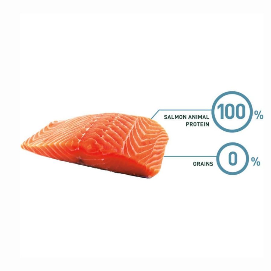 Bravery Salmon Gato Adulto - 2 Kg  es un alimento sin cereales, hipoalergénico y monoproteico con salmón, ideal para gatos adultos con sensibilidades.
