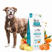 Brit Care Dog Grain-free Adult Salmón 12KG, alimento sin cereales para perros adultos, ideal para piel sana, pelaje brillante y sistema inmune fuerte.