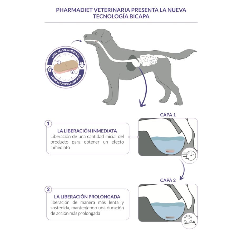 Calmatonine XR Caja 120 unidades reduce estrés y ansiedad en perros y gatos con una fórmula natural y tecnología XR bicapa de liberación prolongada. B-Pets
