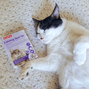 Beaphar Calming Spot On Pipeta Calmante para Gatos 🐱 con valeriana, reduce estrés y ansiedad por una semana. Fácil aplicación y efecto en 1 hora.