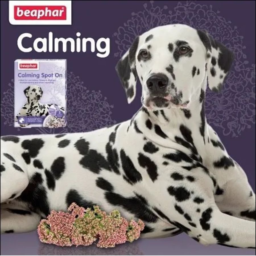 Beaphar Calming Spot On, pipeta calmante con valeriana para perros. Controla el estrés, la ansiedad y malos comportamientos de forma natural. B-Pets