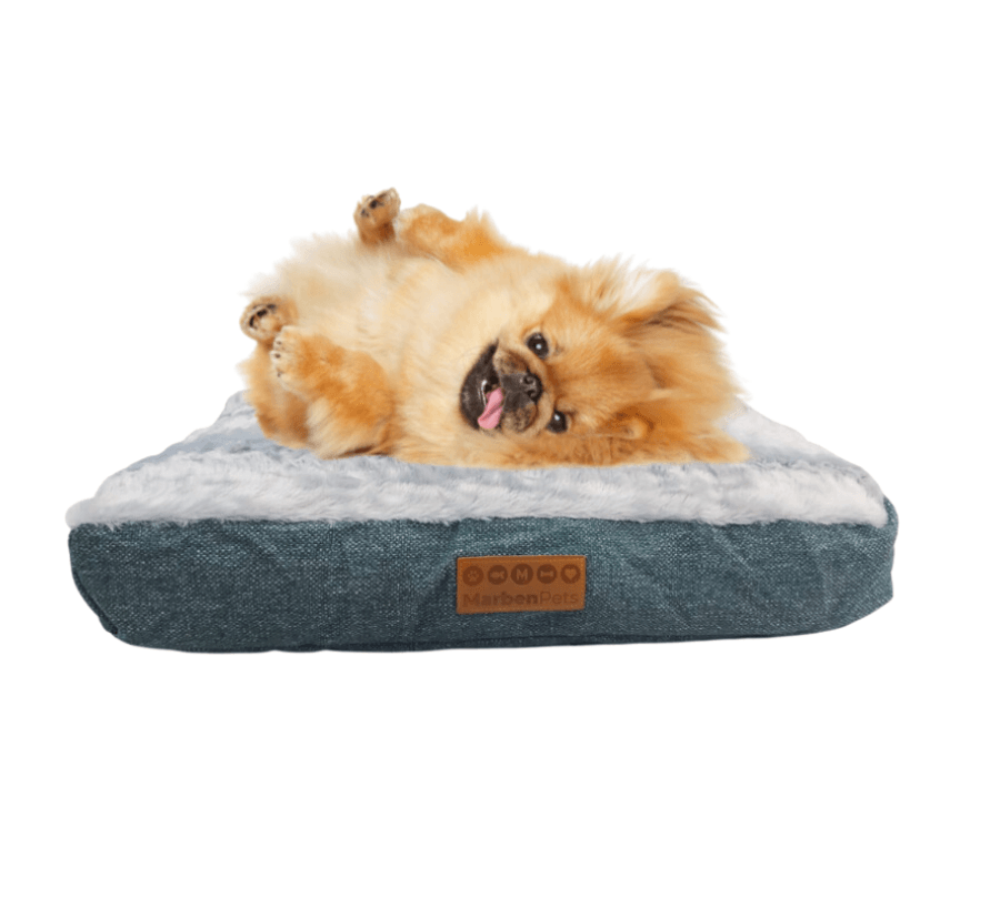 Cama Rectangular de Felpa para Perros: Extra suave y cómoda, ideal para un sueño tranquilo. 🐕 Lavable y adaptable a todo entorno. Disponible en S, M, L