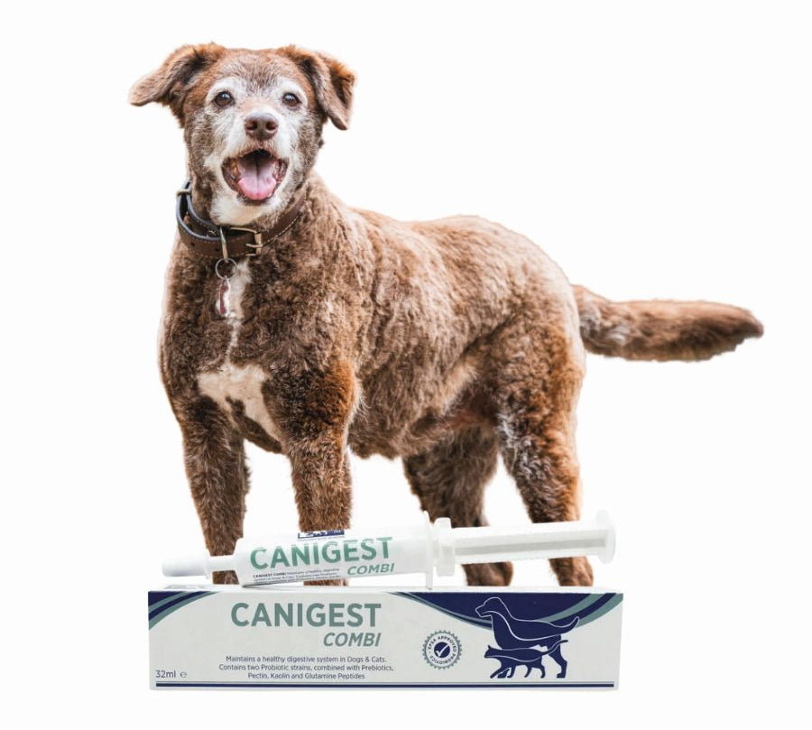 Canigest Combi Probiótico 16ml para perros y gatos ayuda a estabilizar la flora intestinal. Con probióticos, pectina y caolín. Ideal para soporte digestivo.
