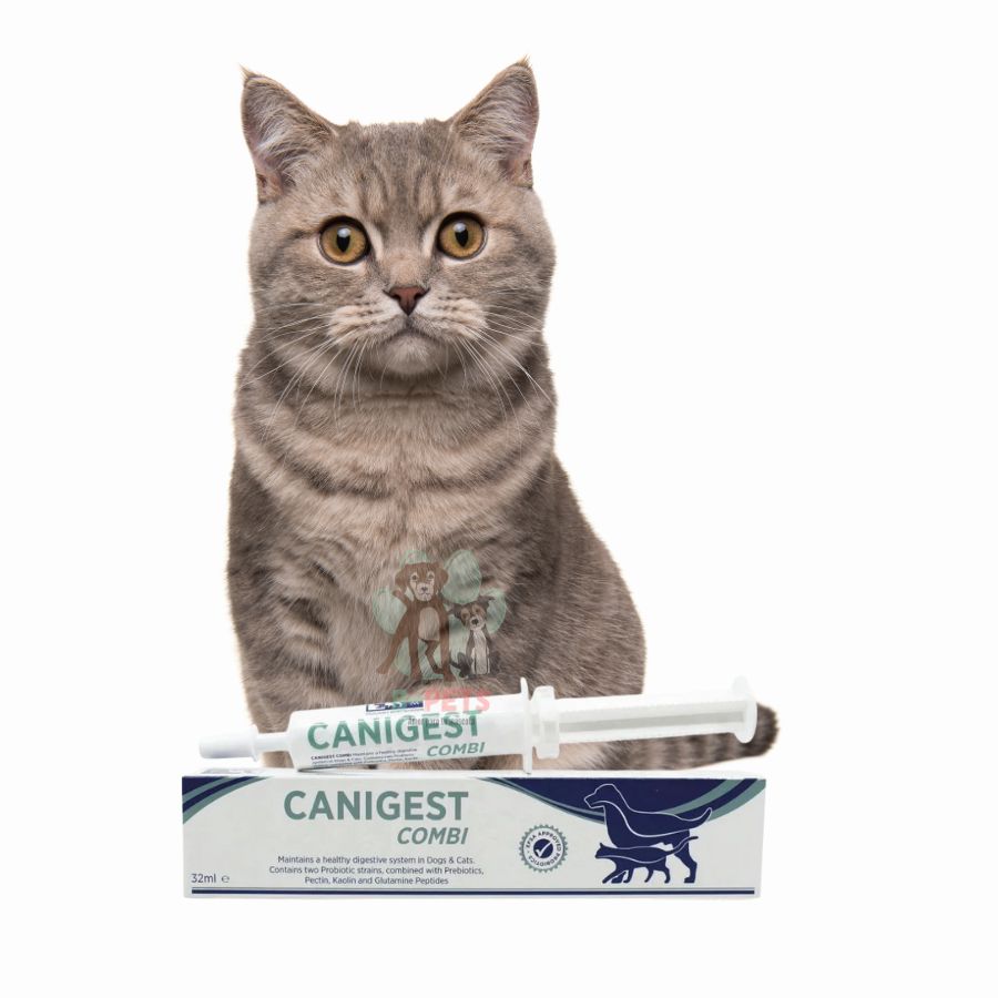 Canigest Combi Probiótico 32ml ayuda a estabilizar la flora intestinal de perros y gatos, mejorando la digestión con probióticos y prebióticos.