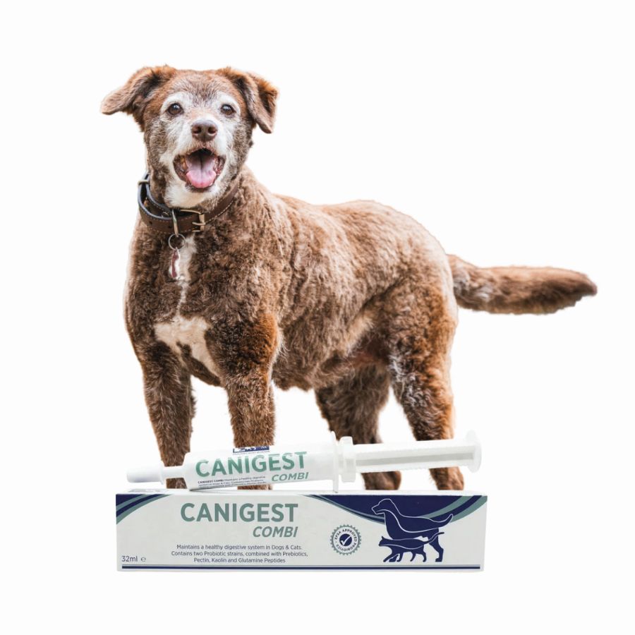 Canigest Combi Probiótico 32ml ayuda a estabilizar la flora intestinal de perros y gatos, mejorando la digestión con probióticos y prebióticos.