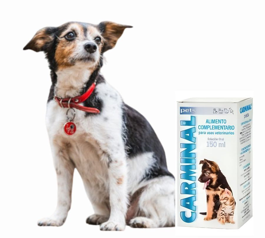 Catalysis Carminal Pets 150 ml suplemento digestivo con aloe vera y glutamina que reduce inflamación, gastritis y mejora la salud intestinal de tu mascota.