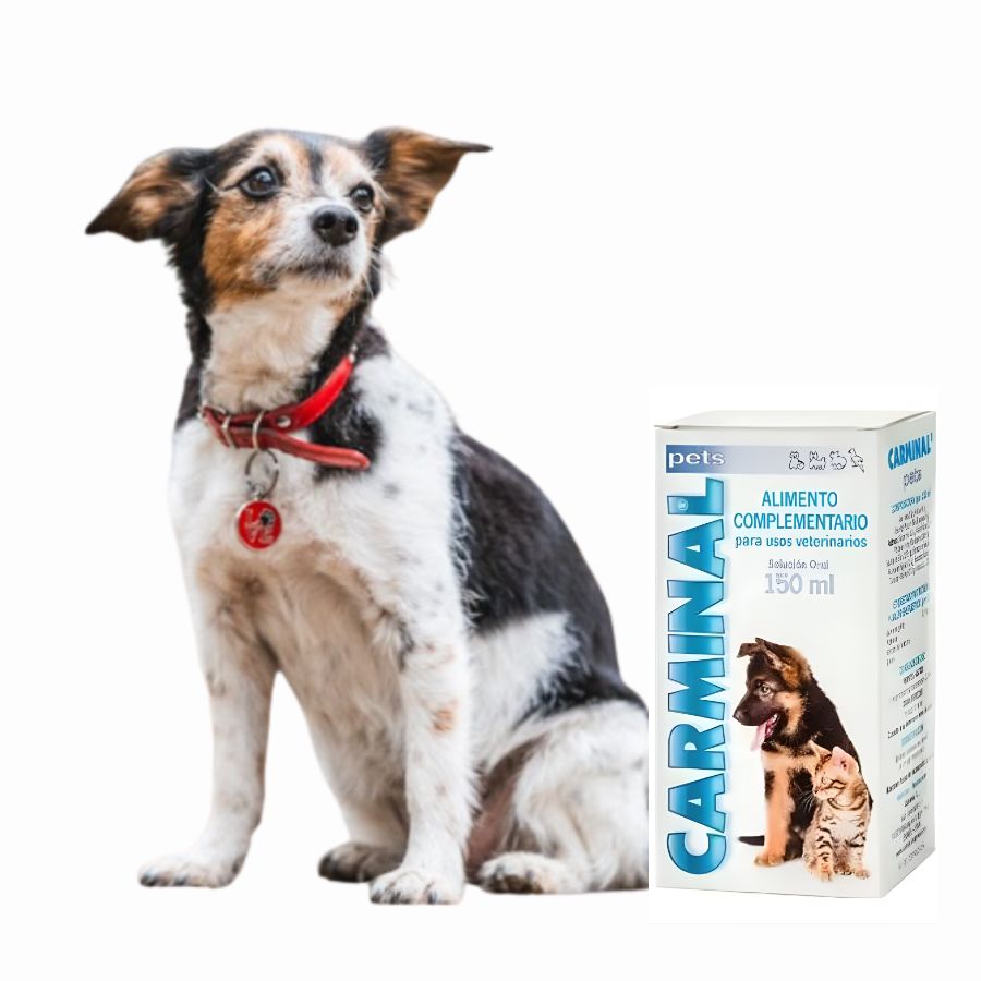 Catalysis Carminal Pets 150 ml suplemento digestivo con aloe vera y glutamina que reduce inflamación, gastritis y mejora la salud intestinal de tu mascota.