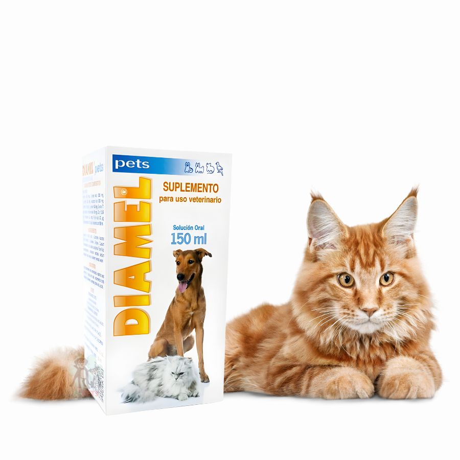 Catalysis Diamel Suplemento para la Diabetes Mascotas 150ml  ayuda a controlar glucosa, colesterol y metabolismo, ideal para perros, gatos y aves ornamentales.