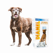 Catalysis Diamel Suplemento para la Diabetes Mascotas 150ml  ayuda a controlar glucosa, colesterol y metabolismo, ideal para perros, gatos y aves ornamentales.
