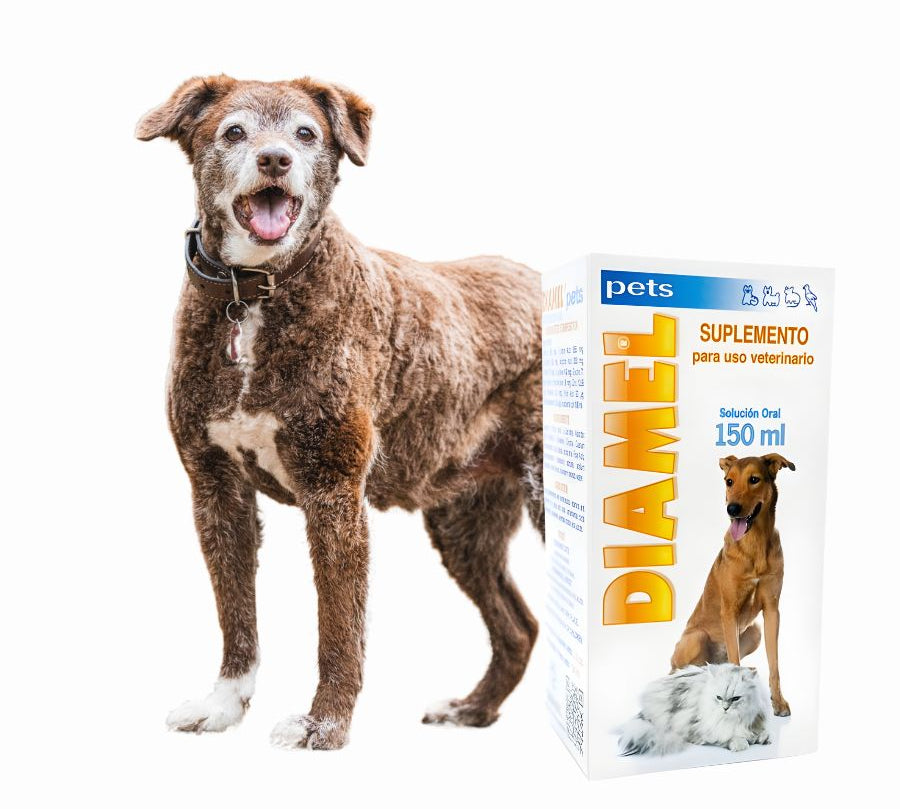 Catalysis Diamel Suplemento para la Diabetes Mascotas 150ml  ayuda a controlar glucosa, colesterol y metabolismo, ideal para perros, gatos y aves ornamentales.