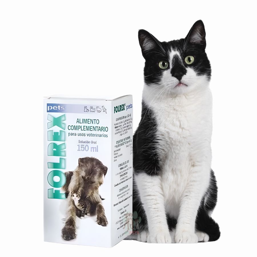 Catalysis Folrex 150ml condroprotector natural con quitina activada que alivia dolor articular y regenera cartílago en perros y gatos. Sin esteroides, uso seguro.