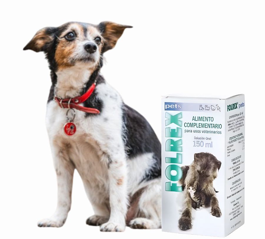 Catalysis Folrex 150ml condroprotector natural con quitina activada que alivia dolor articular y regenera cartílago en perros y gatos. Sin esteroides, uso seguro.