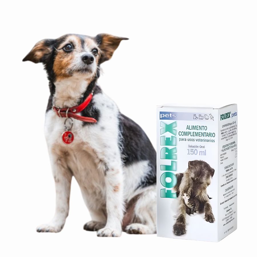 Catalysis Folrex 150ml condroprotector natural con quitina activada que alivia dolor articular y regenera cartílago en perros y gatos. Sin esteroides, uso seguro.