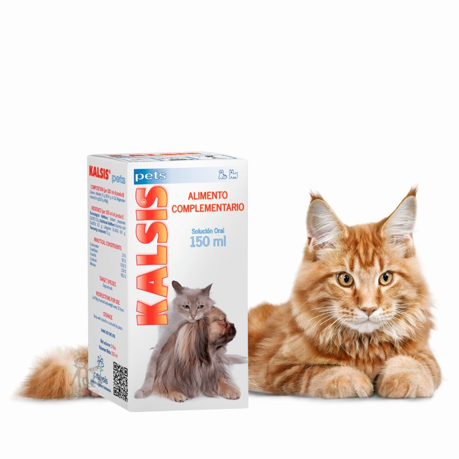Catalysis Kalsis Pets 150ml mejora la salud ósea de perros y gatos, ideal para fracturas y dolencias óseas. Alta palatabilidad y fórmula antioxidante.