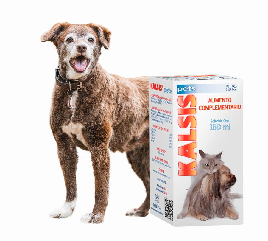 Catalysis Kalsis Pets 150ml mejora la salud ósea de perros y gatos, ideal para fracturas y dolencias óseas. Alta palatabilidad y fórmula antioxidante.