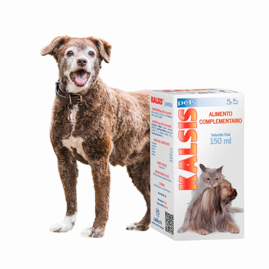 Catalysis Kalsis Pets 150ml mejora la salud ósea de perros y gatos, ideal para fracturas y dolencias óseas. Alta palatabilidad y fórmula antioxidante.