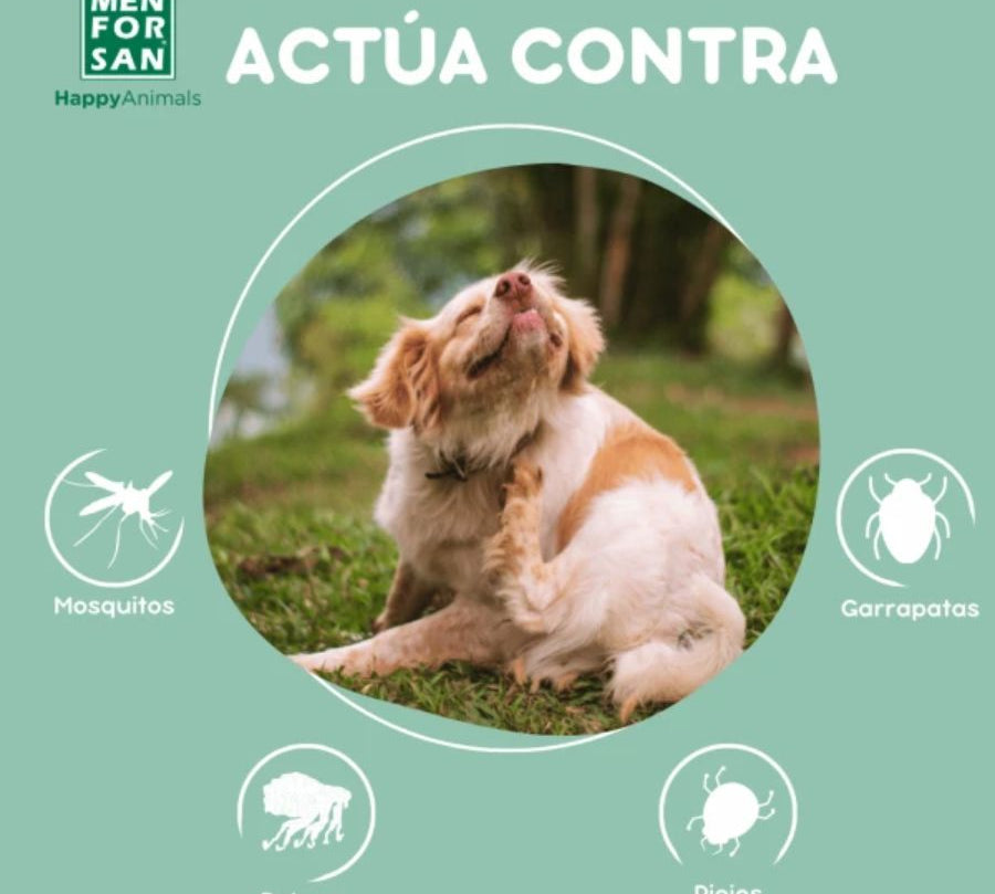 Champú Repelente de Insectos para Perros Men for San, con citronela y geraniol, limpia y protege de pulgas, garrapatas y mosquitos de forma natural.