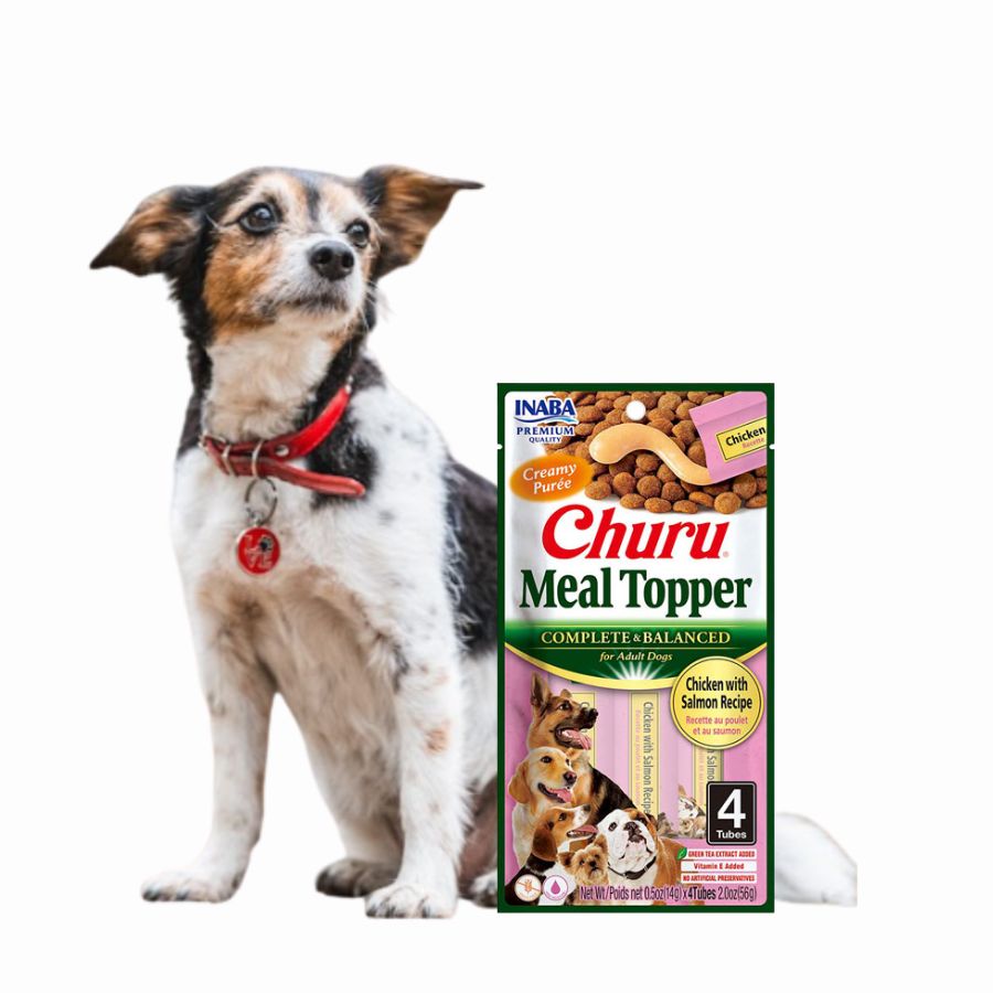 Churu Meal Topper Perro Sabor Pollo y Salmón, alimento completo y cremoso para perros adultos. Sin granos, mejora la hidratación y la digestión.