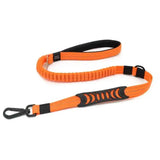 Cinturón de seguridad para Perros Wonder Dog